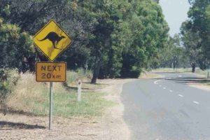 Kangaroo Sign
