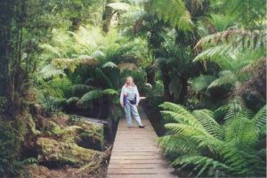 This was a great opportunity to stretch my legs and enjoy a tiny pocket of rainforest.