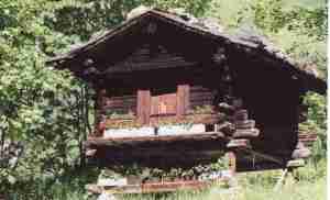 A Gimmelwald Cheese Shed