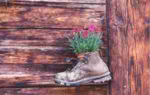 A Hiking Boot Mounted on the Wall of a Gimmelwald Chalet