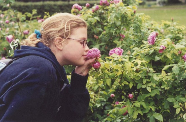 Josephine's Roses at Château Malmaison