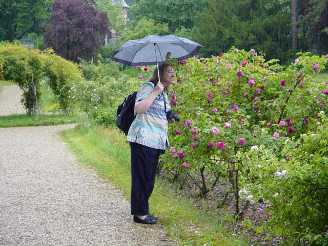 Janice and Josephine's Rose Garden
