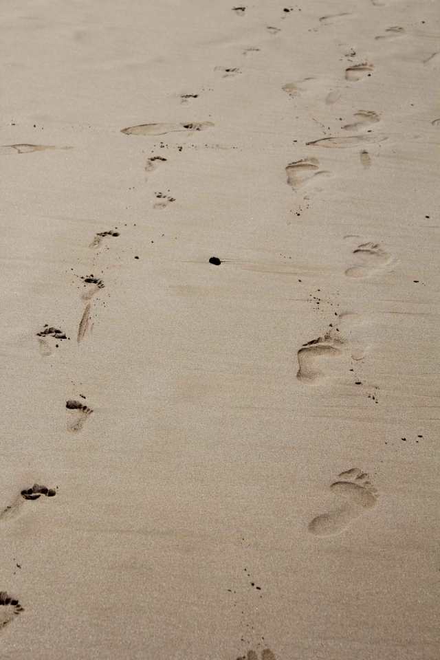 Footprints in the sand.