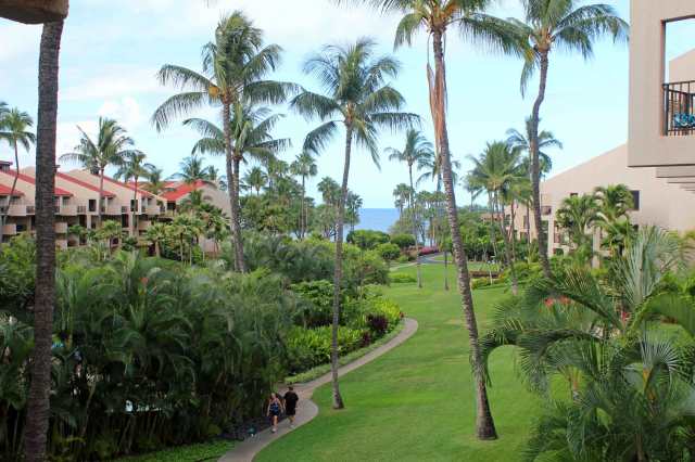 Here is the view from our balcony at Kamaole Sands.  We have a small view of the ocean across the street and have actually been able to see whales from this distance!  The gardens are spectacular and the pool area is fabulous (behind the vegetation on the left half of the photo).  We're very happy with our choice of this resort.